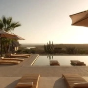 Tribu Todos Santos